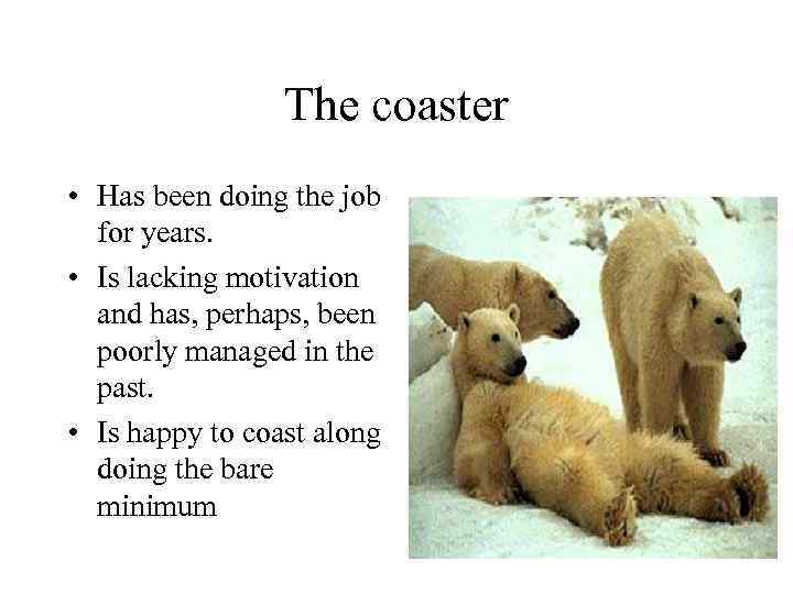 The coaster • Has been doing the job for years. • Is lacking motivation