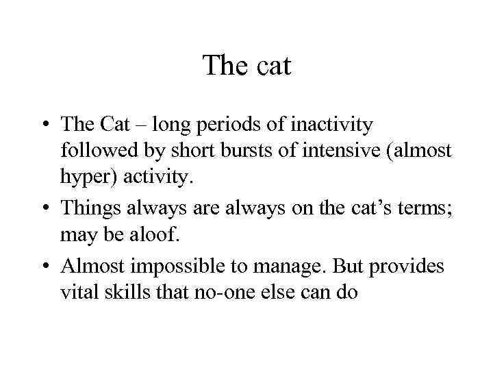 The cat • The Cat – long periods of inactivity followed by short bursts