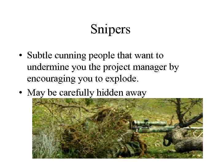 Snipers • Subtle cunning people that want to undermine you the project manager by