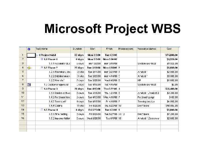Microsoft Project WBS 