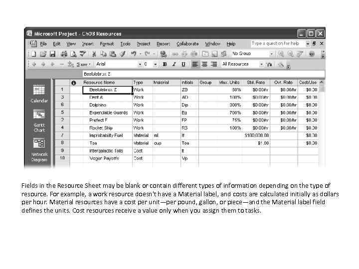 Fields in the Resource Sheet may be blank or contain different types of information