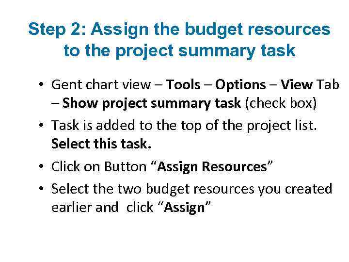 Step 2: Assign the budget resources to the project summary task • Gent chart