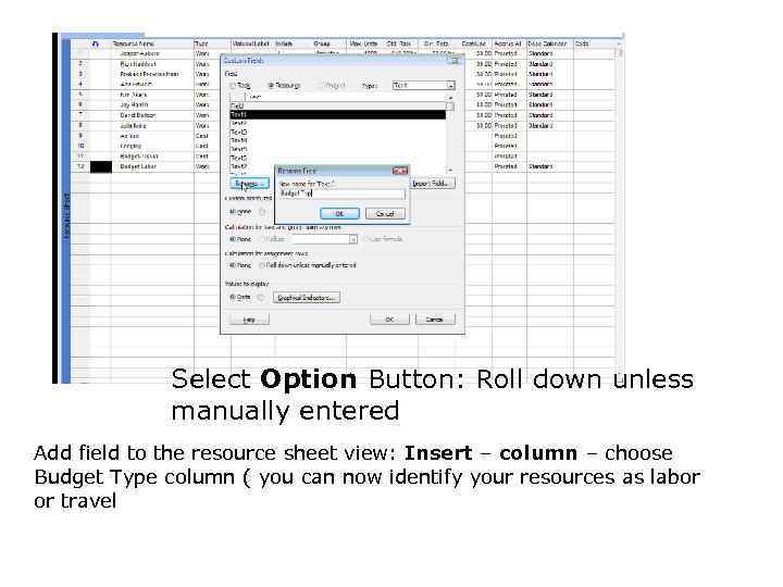 Select Option Button: Roll down unless manually entered Add field to the resource sheet