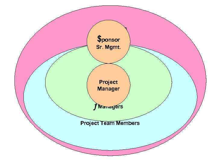 Stakeholders $ponsor Sr. Mgmt. Project Manager ¦Managers Project Team Members 