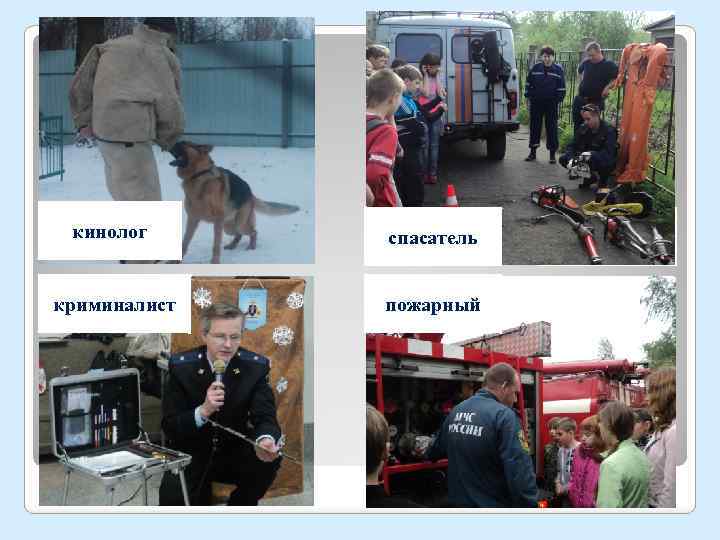кинолог спасатель криминалист пожарный спасатель 