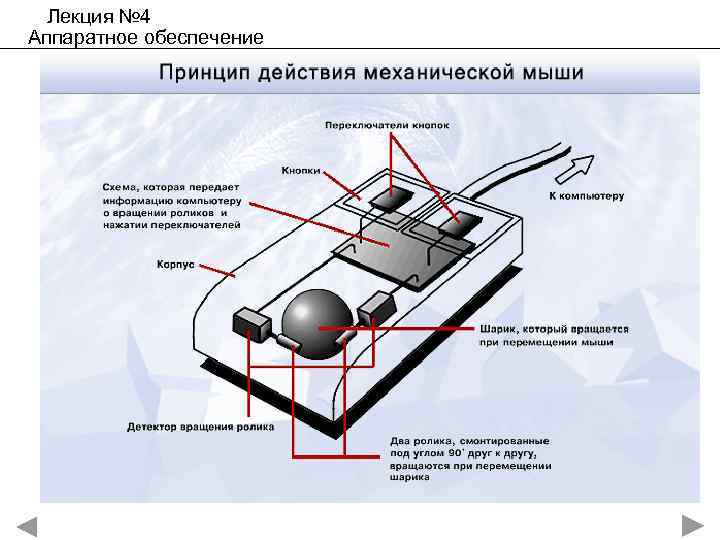 Лекция № 4 Аппаратное обеспечение 