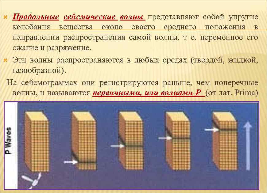 Продольные сейсмические волны представляют собой упругие колебания вещества около своего среднего положения в направлении