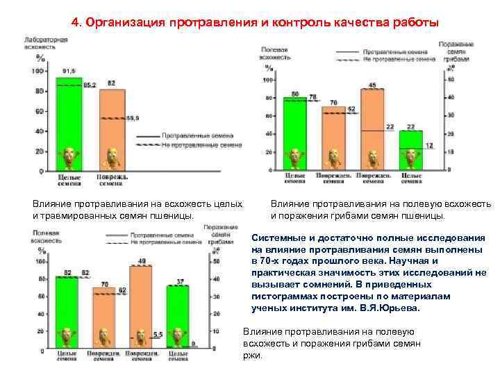 4. Организация протравления и контроль качества работы Влияние протравливания на всхожесть целых и травмированных