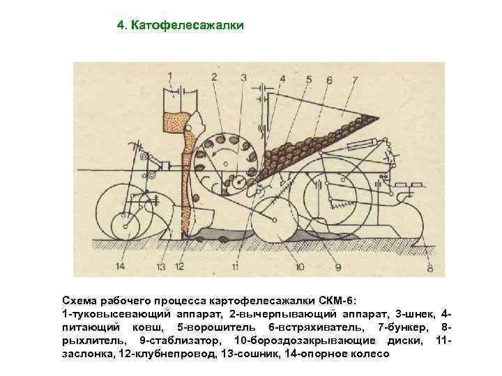 4. Катофелесажалки Схема рабочего процесса картофелесажалки СКМ-6: 1 -туковысевающий аппарат, 2 -вычерпывающий аппарат, 3