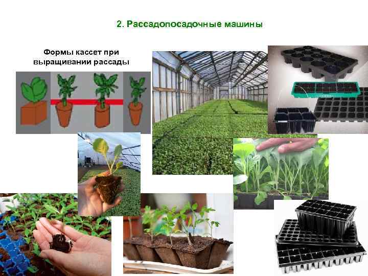 2. Рассадопосадочные машины Формы кассет при выращивании рассады 