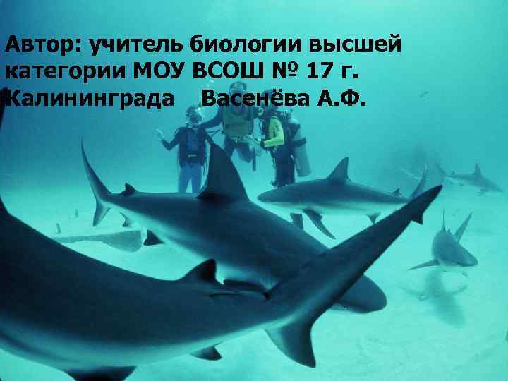 Автор: учитель биологии высшей категории МОУ ВСОШ № 17 г. Калининграда Васенёва А. Ф.