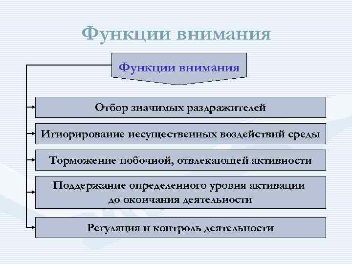 Функции внимания. Функции внимания в психологии. Основные функции внимания в психологии. Функции внимания в психологии таблица. Функции внимания в психологии кратко.