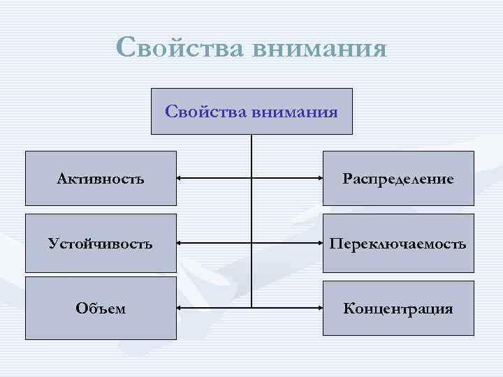Свойства внимания Активность Распределение Устойчивость Переключаемость Объем Концентрация 