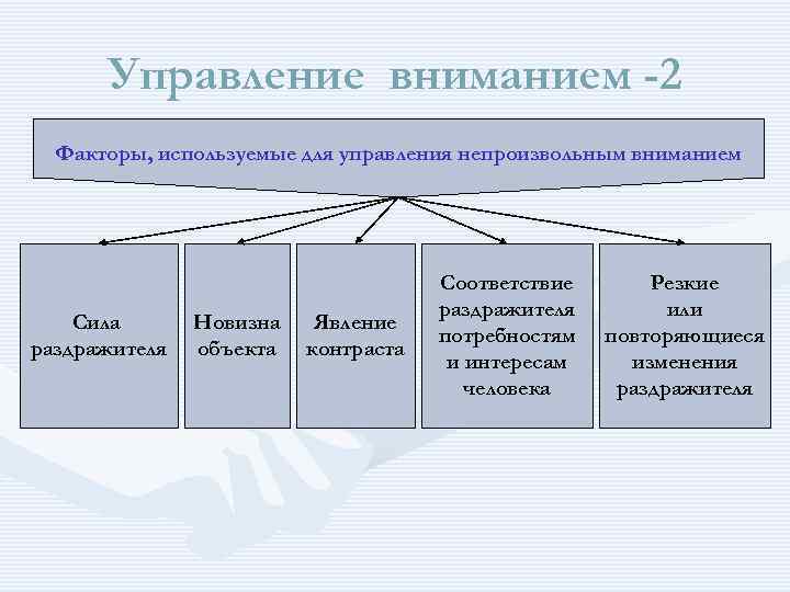 Фактор внимания