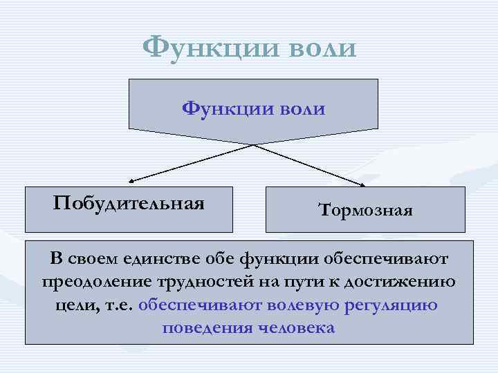 Функции волевых действий схема