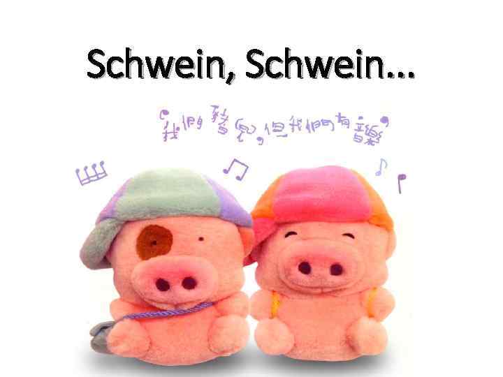 Schwein, Schwein. . . 