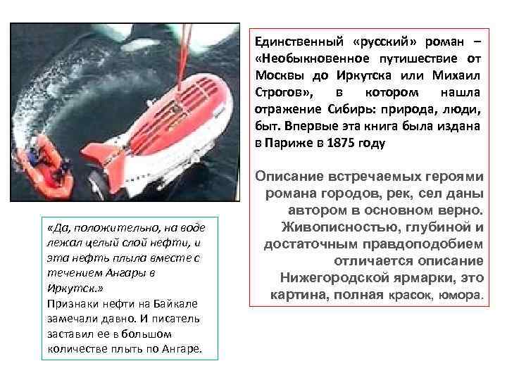 Единственный «русский» роман – «Необыкновенное путишествие от Москвы до Иркутска или Михаил Строгов» ,