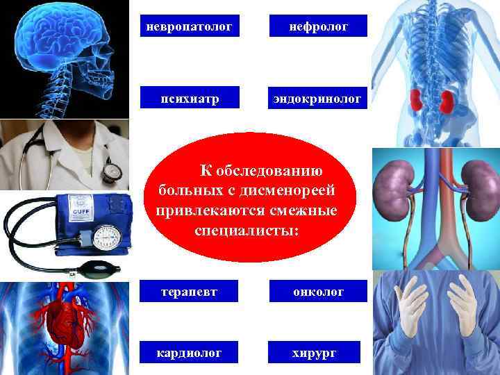 невропатолог нефролог психиатр эндокринолог К обследованию больных с дисменореей привлекаются смежные специалисты: терапевт онколог