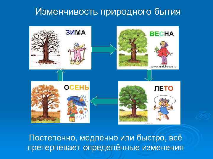 Изменчивость природного бытия Постепенно, медленно или быстро, всё претерпевает определённые изменения 