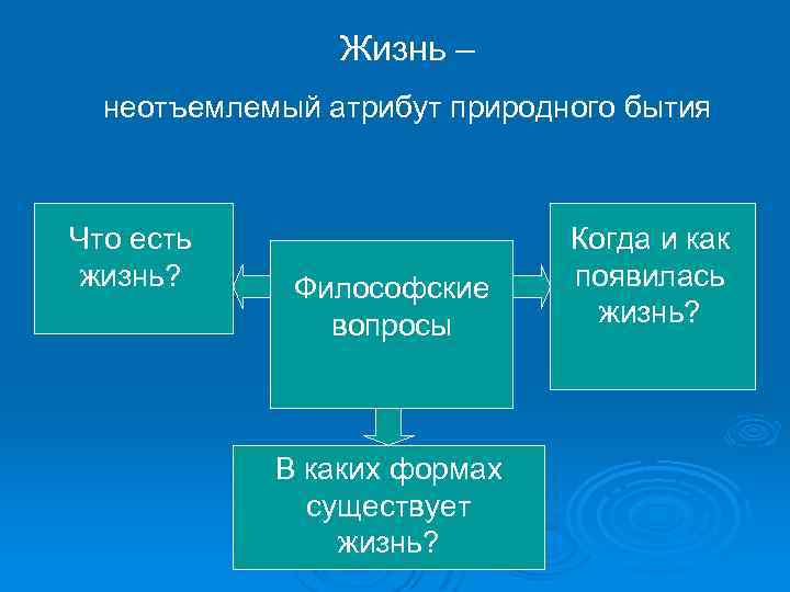 Жизнь – неотъемлемый атрибут природного бытия Что есть жизнь? Философские вопросы В каких формах