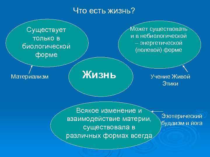 Что есть жизнь? Может существовать и в небиологической – энергетической (полевой) форме Существует только