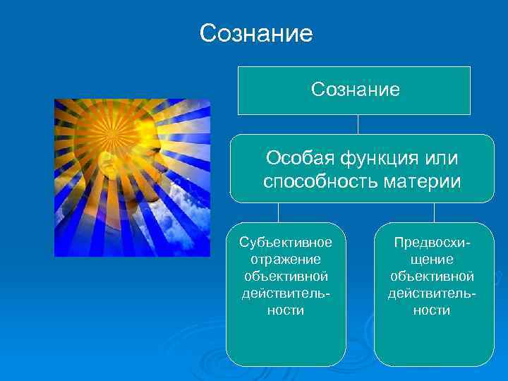 Сознание Особая функция или способность материи Субъективное отражение объективной действительности Предвосхищение объективной действительности 