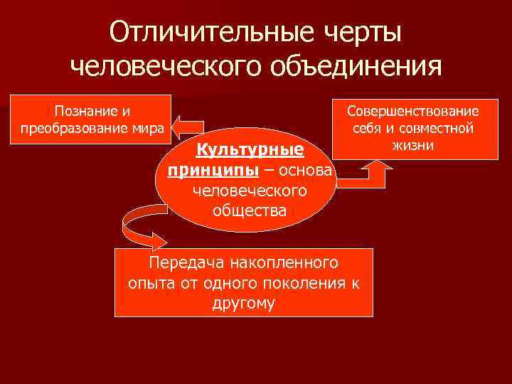 Отличительные черты человеческого объединения Познание и преобразование мира Культурные принципы – основа человеческого общества