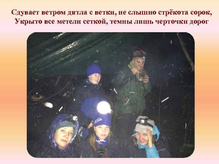 Сдувает ветром дятла с ветки, не слышно стрёкота сорок, Укрыто все метели сеткой, темны