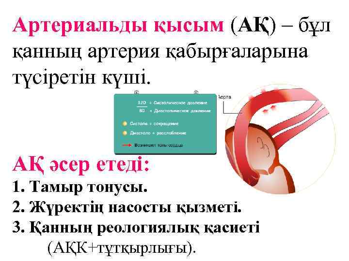 Артериальды қысым (АҚ) – бұл қанның артерия қабырғаларына түсіретін күші. АҚ әсер етеді: 1.