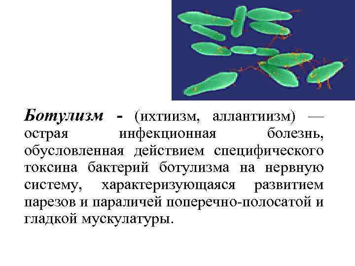 Ботулизм - (ихтиизм, аллантиизм) — острая инфекционная болезнь, обусловленная действием специфического токсина бактерий ботулизма