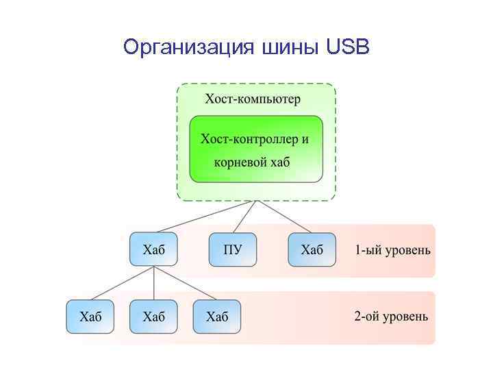 Организация шины USB 