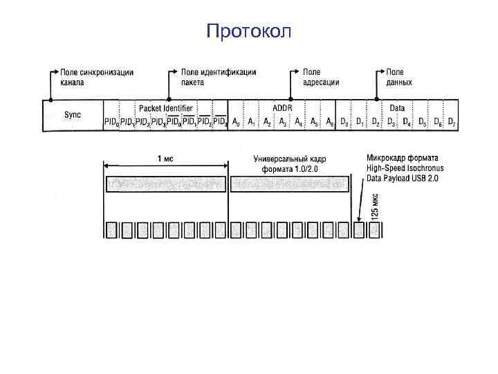 Протокол 