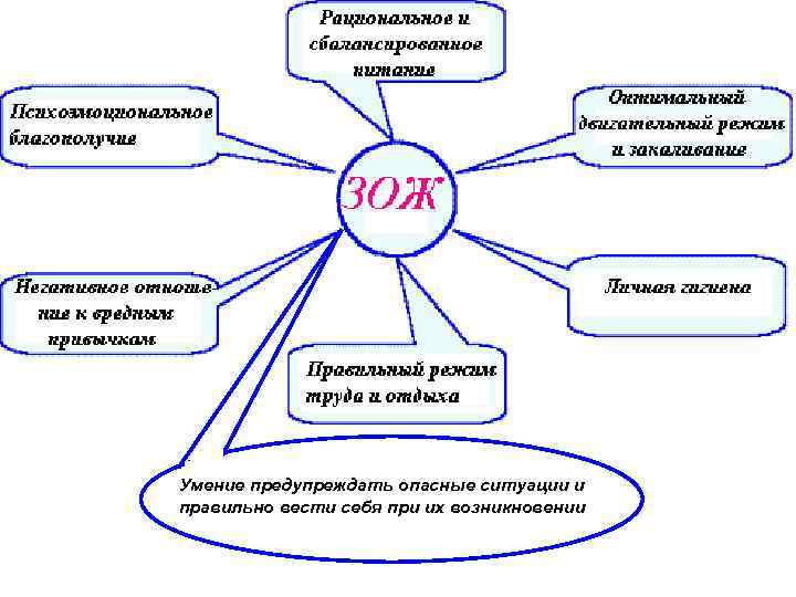 Умение предупреждать опасные ситуации и правильно вести себя при их возникновении 