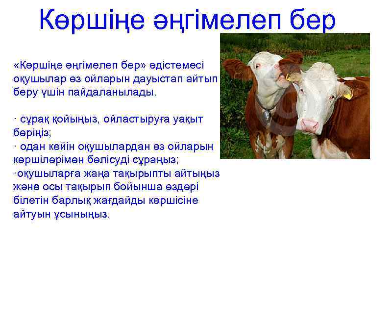 Көршіңе әңгімелеп бер «Көршіңе әңгімелеп бер» әдістемесі оқушылар өз ойларын дауыстап айтып беру үшін