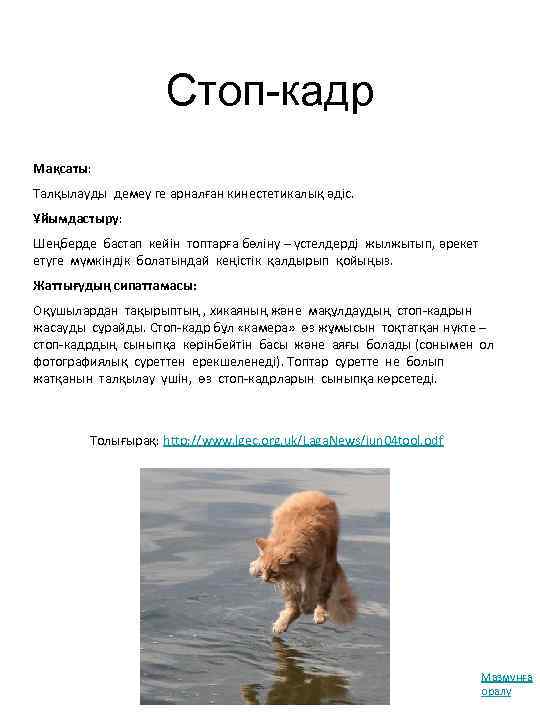 Стоп-кадр Мақсаты: Талқылауды демеу ге арналған кинестетикалық әдіс. Ұйымдастыру: Шеңберде бастап кейін топтарға бөліну