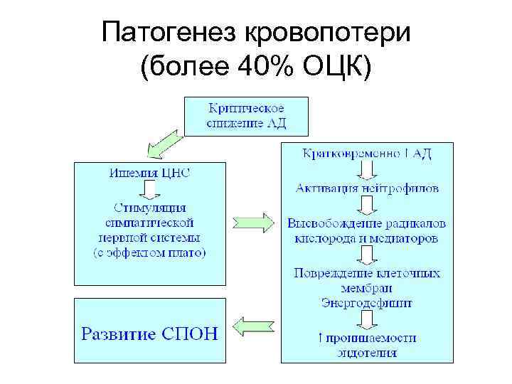 Патогенез кровопотери (более 40% ОЦК) 