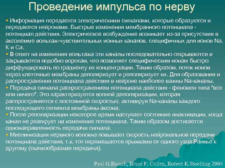 Проведение импульса по нерву Информация передается электрическими сигналами, которые образуются и передаются нейронами. Быстрые