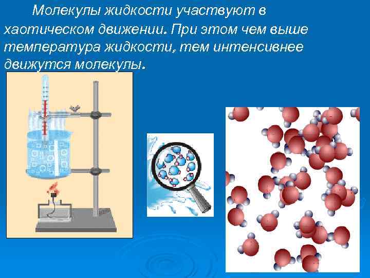 Молекулы жидкости участвуют в хаотическом движении. При этом чем выше температура жидкости, тем интенсивнее