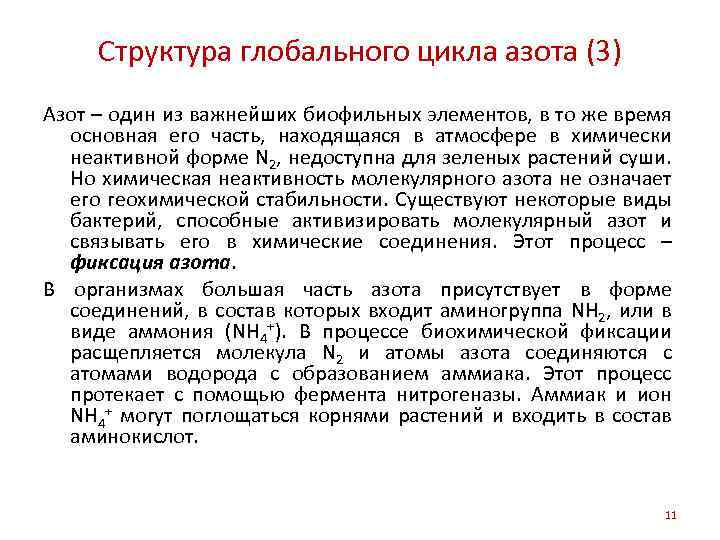 Структура глобального цикла азота (3) Азот – один из важнейших биофильных элементов, в то