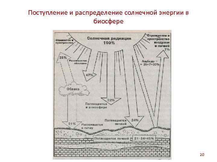 Энергетика биосферы