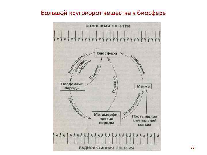 Большой круговорот вещества в биосфере 22 