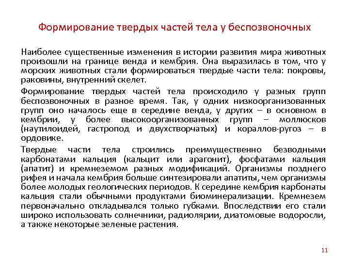 Формирование твердых частей тела у беспозвоночных Наиболее существенные изменения в истории развития мира животных