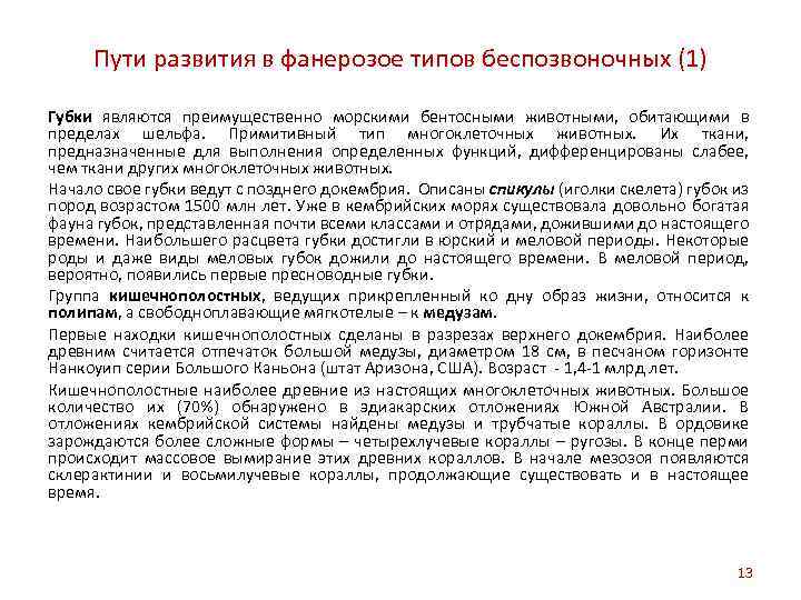 Пути развития в фанерозое типов беспозвоночных (1) Губки являются преимущественно морскими бентосными животными, обитающими