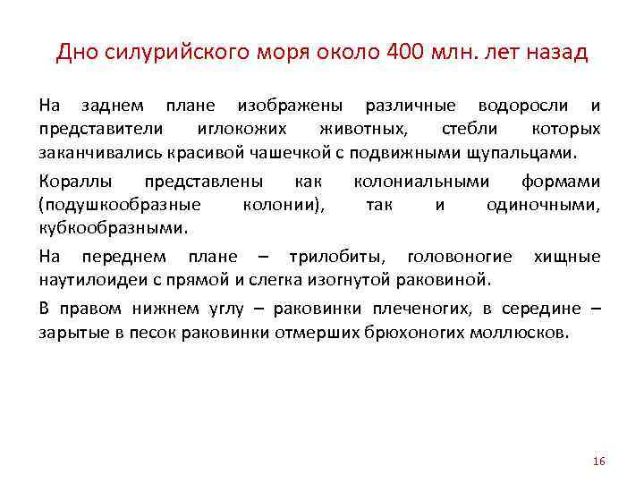 Дно силурийского моря около 400 млн. лет назад На заднем плане изображены различные водоросли