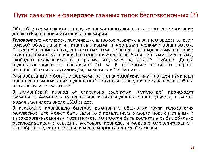 Пути развития в фанерозое главных типов беспозвоночных (3) Обособление моллюсков от других примитивных животных