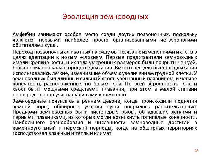 Эволюция земноводных Амфибии занимают особое место среди других позвоночных, поскольку являются первыми наиболее просто