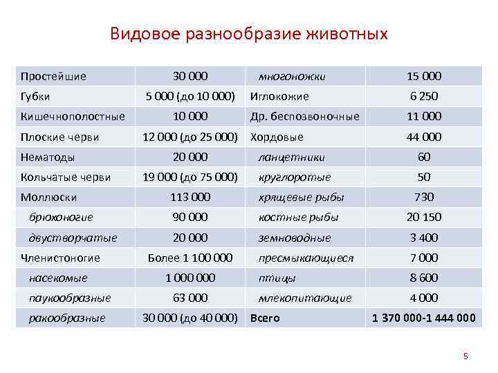 Видовое разнообразие животных Простейшие Губки Кишечнополостные Плоские черви Нематоды 30 000 5 000 (до