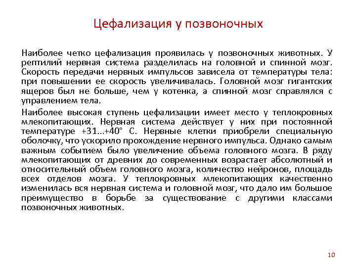 Цефализация у позвоночных Наиболее четко цефализация проявилась у позвоночных животных. У рептилий нервная система