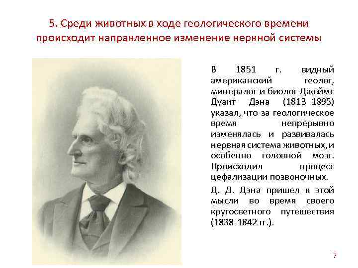 5. Среди животных в ходе геологического времени происходит направленное изменение нервной системы В 1851