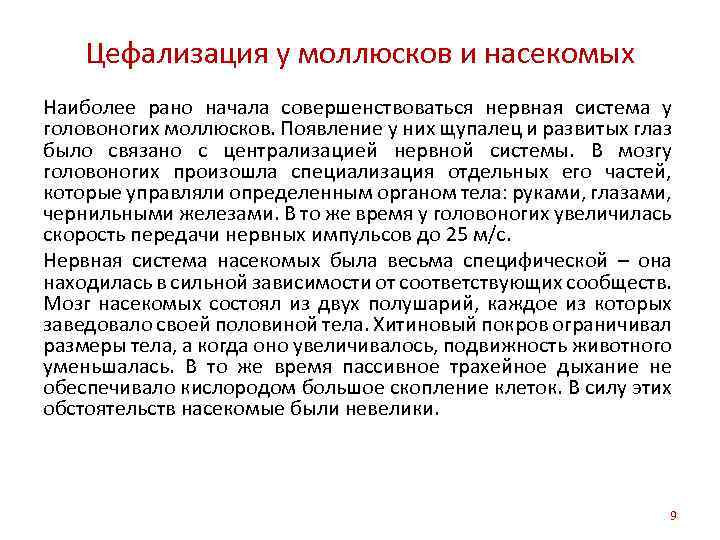 Цефализация у моллюсков и насекомых Наиболее рано начала совершенствоваться нервная система у головоногих моллюсков.